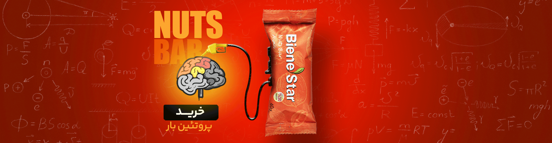 پروتئین بار بین استار در ۸ طعم مختلف 