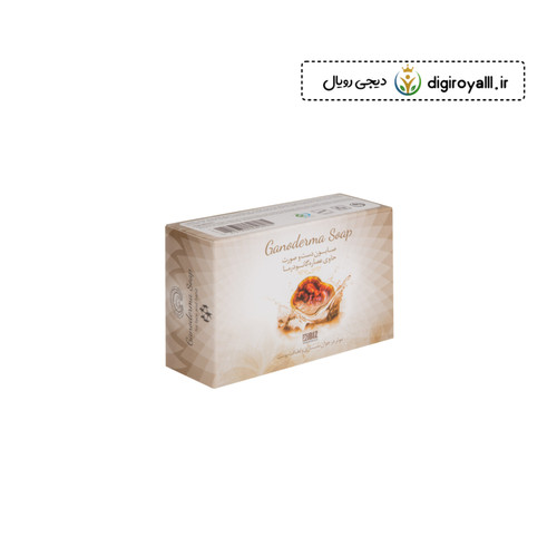 صابون قارچگانودرما - دکتر بیز