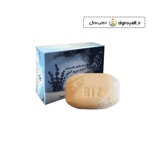 صابون دانه کاج و مریمگلی دکتر بیز | پاکسازی و تغذیه پوست دست و صورت
