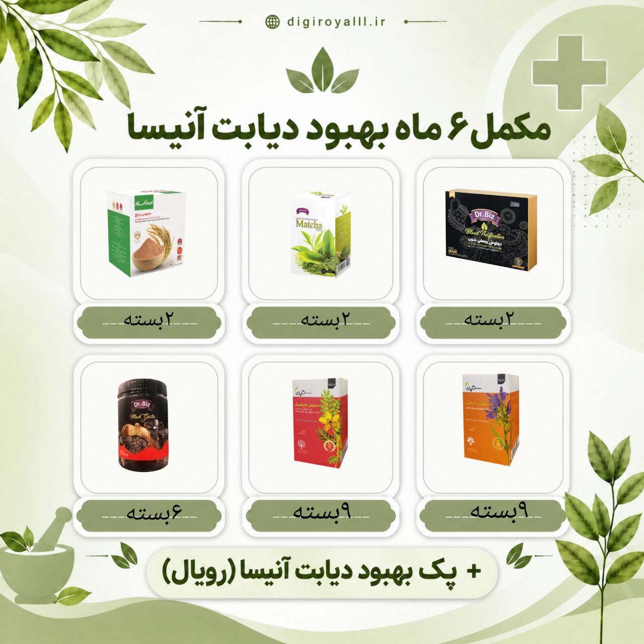 مکمل کنترل دیابت آنیسا (رویال) _ 6ماهه