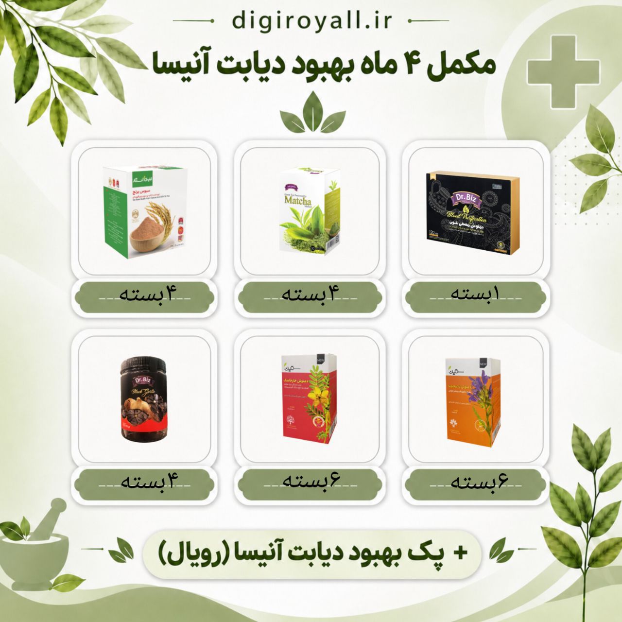 مکمل کنترل دیابت آنیسا(رویال) _ 4ماهه